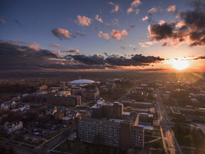 The Nelson L. Nemerow Memorial Scholarship was named after Nelson Nemerow, a professor at SU and a pioneer of environmental protection. 