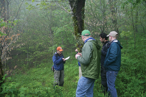 Jason Fridley, a professor of biology at SU, will use $107,000 of funding to study the affects of climate change on the Great Smoky Mountains National Park. 
